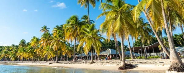 La Guadeloupe tout au long de l annee