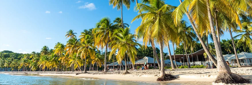 La Guadeloupe tout au long de l annee